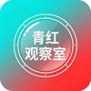 青红观察室