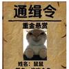 通缉令●鼠鼠_(关我必不回)