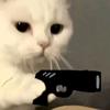 123
