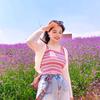 花落知朝夕