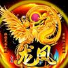 龙凤呈祥@