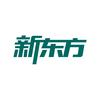 浙江新东方