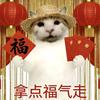 苦蛋教剪辑