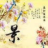 唐山卡车老王