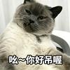 真香~