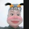 @刘二蛋但乐