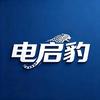 电启豹电池服务