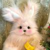 兔叽咩🐰