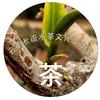 云南长流水茶文化研究院