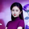 圆梦戏曲