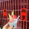 肥猫团购日记