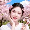 槎溪清妃堂杏知意