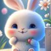 兔子🐰