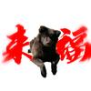 超屑的星佬☭（三角洲行动）