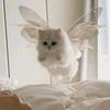 面包小猫