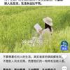 马先生与何夫人