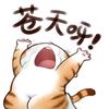 吾谁与归