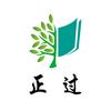 正过成长记