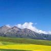 星望国际跨境医药供应链