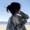 梦蝶