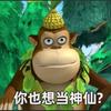 小白