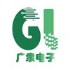 广隶电子(专业搞电调)