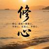 文娱小跟班⑥