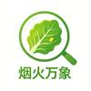 烟火万象