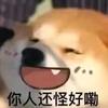 易安