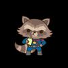 Raccoon