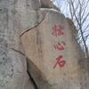 清河红泥