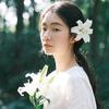 兔妈特效酱