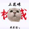 ⚡猫meme剧场.三花咪🔥🍀⚡