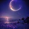 星轨密语