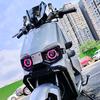 苍小穹11