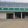 菊花病虫害及控制技术