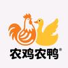 农鸡农鸭(抱窝鸡)