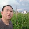 鄂东戴喜良
