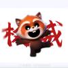 @忘本小熊猫