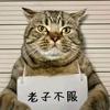 小森森