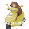 玉山而