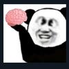 质数