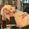 你清醒一点！