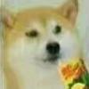 影煞丶末龙
