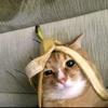 排骨