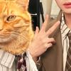 🐷🐱DDS
