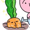萝卜大王（升级版）