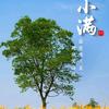 山山乐