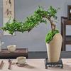 闲看落花