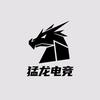 猛龙电竞